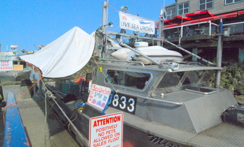 Urchin boat on sales float .JPG